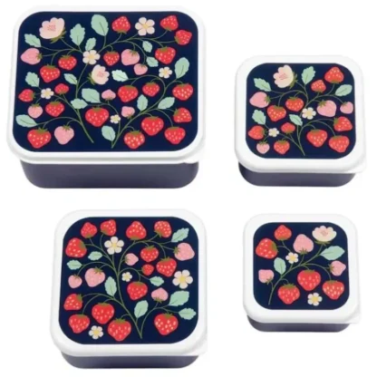 A Little Lovely Co. Lunch Container Set - Strawberries - Little Painter Art | Exploring the Endless Possibilities of Art Best