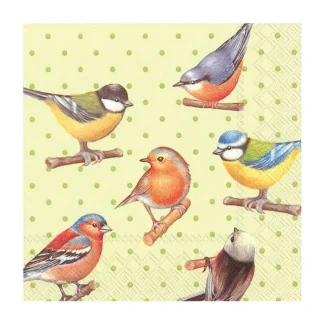 Abbott Beverage Napkins 20pk - Birds on Dots - Little Painter Art | Exploring the Endless Possibilities of Art Cheap