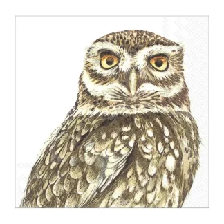 Abbott Beverage Napkins 20pk - Owl - Little Painter Art | Exploring the Endless Possibilities of Art Sale