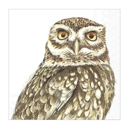 Abbott Beverage Napkins 20pk - Owl - Little Painter Art | Exploring the Endless Possibilities of Art Sale