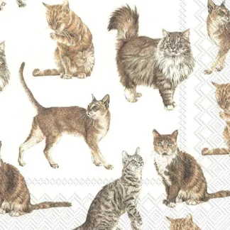 Abbott Lunch Napkins 20pk - Cats - Little Painter Art | Exploring the Endless Possibilities of Art Hot