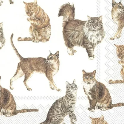 Abbott Lunch Napkins 20pk - Cats - Little Painter Art | Exploring the Endless Possibilities of Art Hot