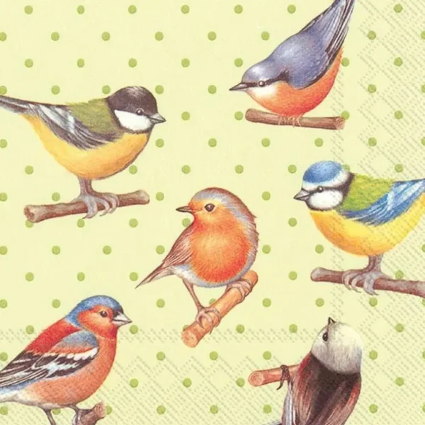 Abbott Lunch Napkins 20pk - Flock of Birds - Little Painter Art | Exploring the Endless Possibilities of Art Flash Sale