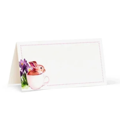 Abbott Placecards 12pk Bunny - Little Painter Art | Exploring the Endless Possibilities of Art Best