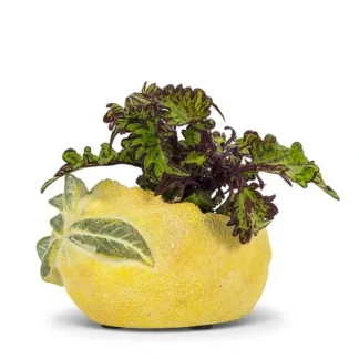 Abbott Planter - Lemon-Shaped - Little Painter Art | Exploring the Endless Possibilities of Art New