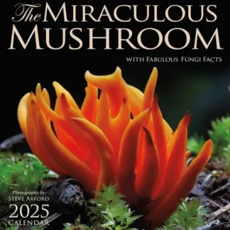 Amber Lotus 2025 Wall Calendar - The Miraculous Mushroom - Little Painter Art | Exploring the Endless Possibilities of Art Hot