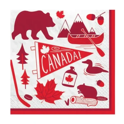 Amscan Beverage Napkins 30pk Canadian Pride - Little Painter Art | Exploring the Endless Possibilities of Art Outlet