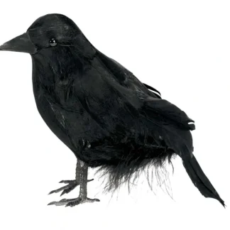 Amscan Halloween Decor - Small Feathered Raven - Little Painter Art | Exploring the Endless Possibilities of Art Cheap