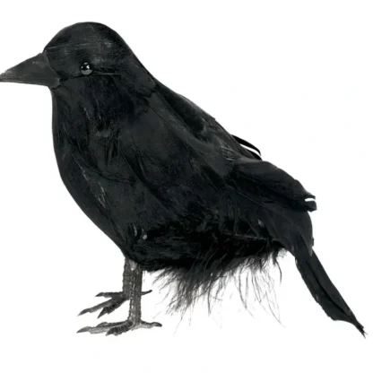 Amscan Halloween Decor - Small Feathered Raven - Little Painter Art | Exploring the Endless Possibilities of Art Cheap