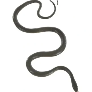 Amscan Large Snake Decor - Little Painter Art | Exploring the Endless Possibilities of Art Outlet