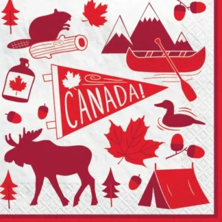 Amscan Lunch Napkins 20pk - Canadian Pride - Little Painter Art | Exploring the Endless Possibilities of Art Online