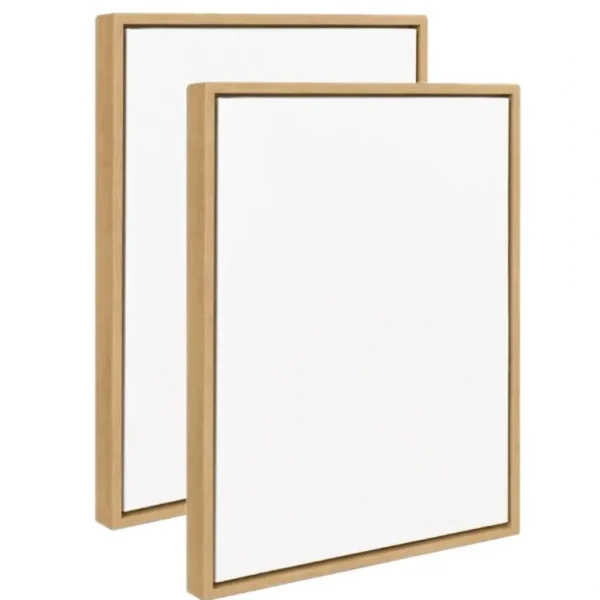 Blank Canvas & Floating Frame Set Bundles of 2PC - Little Painter Art | Exploring the Endless Possibilities of Art New