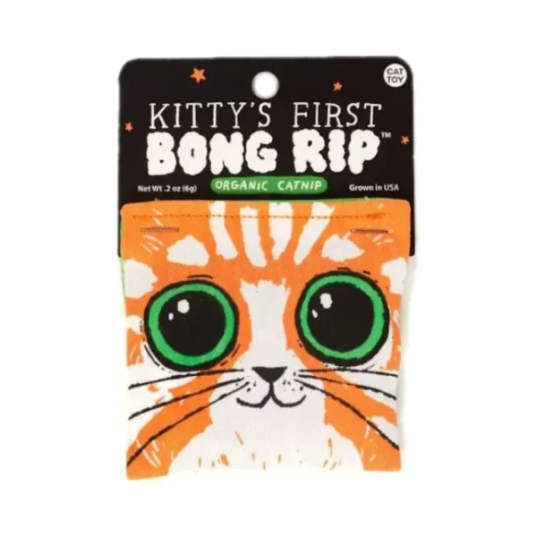Blue Q Organic Catnip Cat Toy - Kitty's First Bong Rip - Little Painter Art | Exploring the Endless Possibilities of Art Discount