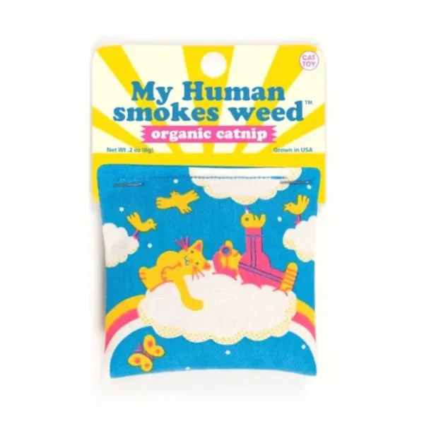 Blue Q Organic Catnip Cat Toy - My Human Smokes Weed - Little Painter Art | Exploring the Endless Possibilities of Art New