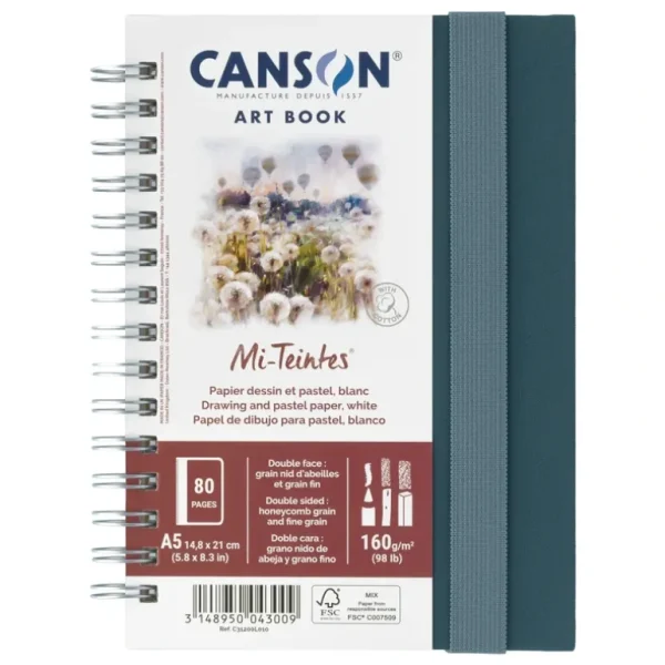 Canson Mi-Teintes Art Book - 160gsm - 40 Sheets - A5 - Little Painter Art | Exploring the Endless Possibilities of Art Best