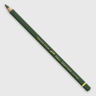 Caran d'Ache Pablo 019 Olive Black - Little Painter Art | Exploring the Endless Possibilities of Art Hot