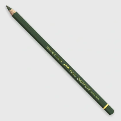 Caran d'Ache Pablo 019 Olive Black - Little Painter Art | Exploring the Endless Possibilities of Art Hot