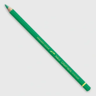 Caran d'Ache Pablo 460 Peacock Green - Little Painter Art | Exploring the Endless Possibilities of Art Store