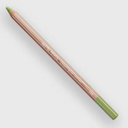 Caran d'Ache Pastel 243 Light Olive 20% - Little Painter Art | Exploring the Endless Possibilities of Art Online