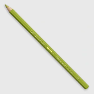Caran d'Ache Supracolor 016 Khaki Green - Little Painter Art | Exploring the Endless Possibilities of Art Fashion