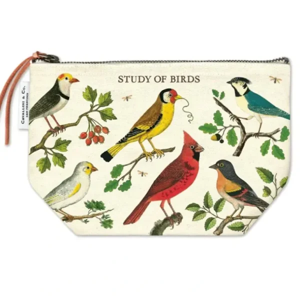 Cavallini Canvas Zipper Pouch - Birds - Little Painter Art | Exploring the Endless Possibilities of Art Clearance