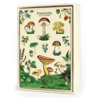 Cavallini Notecards 8pk - Foraging (Mushrooms) - Little Painter Art | Exploring the Endless Possibilities of Art Cheap