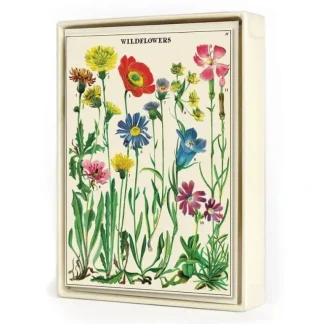 Cavallini Notecards 8pk - Wildflowers - Little Painter Art | Exploring the Endless Possibilities of Art Cheap