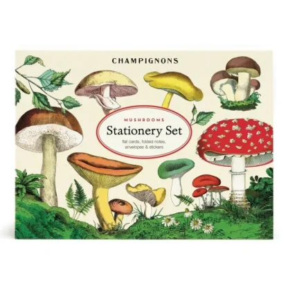 Cavallini Stationery Set - Mushrooms - Little Painter Art | Exploring the Endless Possibilities of Art New