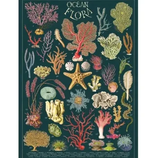 Cavallini Vintage Art Poster - Ocean Flora - Little Painter Art | Exploring the Endless Possibilities of Art Clearance