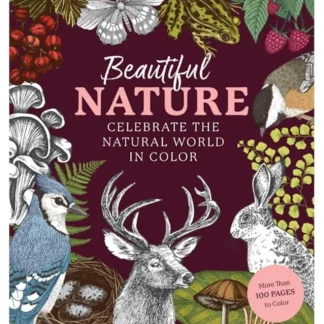 Chartwell Books Coloring Book - Beautiful Nature - Little Painter Art | Exploring the Endless Possibilities of Art Sale