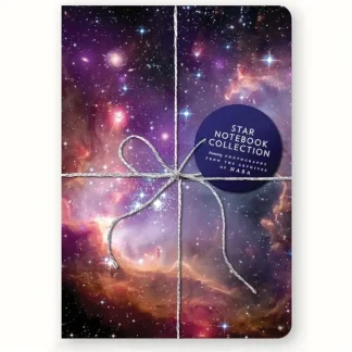 Chronicle Books Star Notebook Collection 3pk - Little Painter Art | Exploring the Endless Possibilities of Art Flash Sale