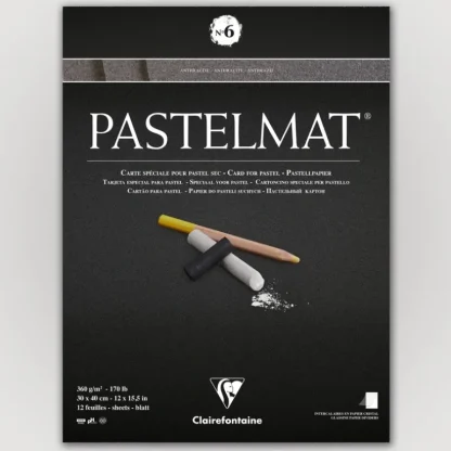 Clairefontaine Pastelmat N6 360g 30x40 antr 12 sheets - Little Painter Art | Exploring the Endless Possibilities of Art Cheap
