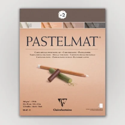 Clairefontaine Pastelmat N2 360g 24x30 ass 12 sheets - Little Painter Art | Exploring the Endless Possibilities of Art Clearance