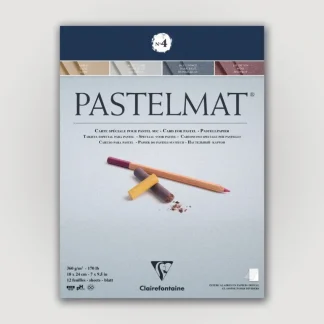 Clairefontaine Pastelmat N4 360g 18x24 ass 12 sheets - Little Painter Art | Exploring the Endless Possibilities of Art Best