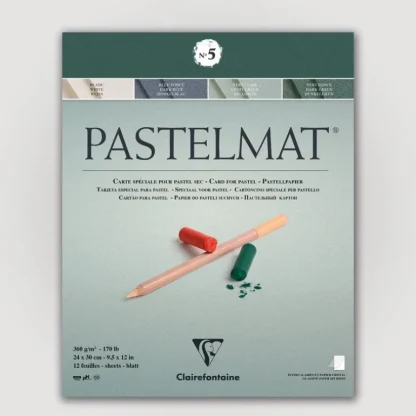 Clairefontaine Pastelmat N5 360g 24x30 groen 12 sheets - Little Painter Art | Exploring the Endless Possibilities of Art Online