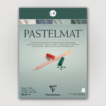Clairefontaine Pastelmat N5 360g 18x24 groen 12 sheets - Little Painter Art | Exploring the Endless Possibilities of Art New