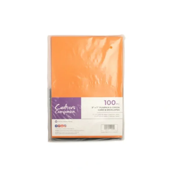 Crafter's Companion - 5"x7" Pumpkin & Green Card & Envelopes 100pc - Little Painter Art | Exploring the Endless Possibilities of Art Shop