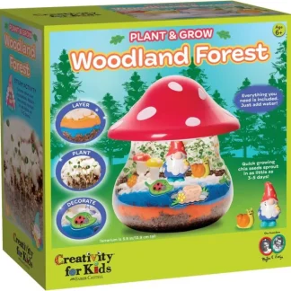 Creativity for Kids Plant & Grow Woodland Forest - Little Painter Art | Exploring the Endless Possibilities of Art Clearance