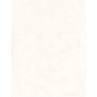 CTG 22x28" Poster/Bristol Board, White - Little Painter Art | Exploring the Endless Possibilities of Art Hot