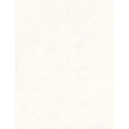 CTG 22x28" Poster/Bristol Board, White - Little Painter Art | Exploring the Endless Possibilities of Art Hot