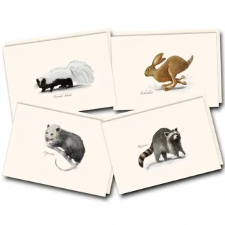 Earth Sky + Water Notecards 8pk - Small Mammals - Little Painter Art | Exploring the Endless Possibilities of Art^ Best