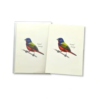 Earth Sky + Water Notecards 8pk - Painted Bunting - Little Painter Art | Exploring the Endless Possibilities of Art^ Shop