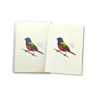 Earth Sky + Water Notecards 8pk - Painted Bunting - Little Painter Art | Exploring the Endless Possibilities of Art^ Shop