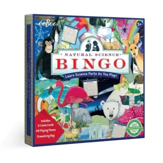 eeBoo Earth Science Bingo - Little Painter Art | Exploring the Endless Possibilities of Art^ Clearance