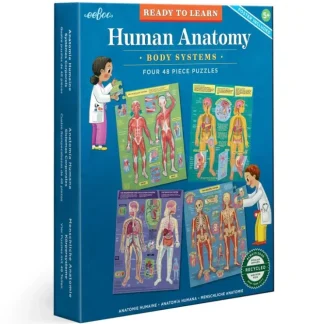 eeBoo Ready to Learn - Human Anatomy 4-Puzzle 48pc Set - Little Painter Art | Exploring the Endless Possibilities of Art^ Discount