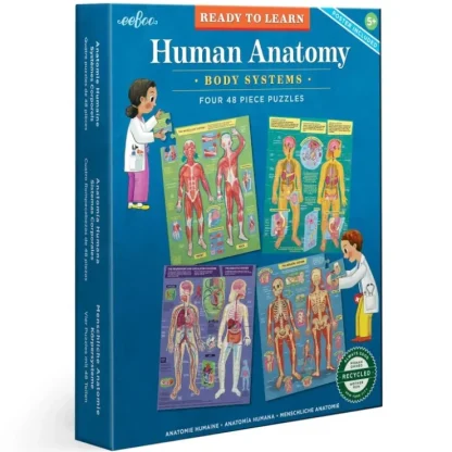 eeBoo Ready to Learn - Human Anatomy 4-Puzzle 48pc Set - Little Painter Art | Exploring the Endless Possibilities of Art^ Discount
