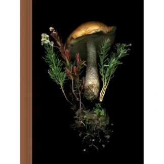 Julya Hajnoczky Journal Deep Dark Forest - Little Painter Art | Exploring the Endless Possibilities of Art^ New