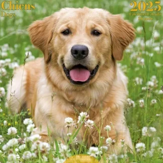 Les ditions du Dsastre 2023 Calendar - Dogs - Little Painter Art | Exploring the Endless Possibilities of Art^ Clearance