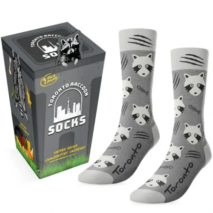 Main & Local Toronto Raccoon Socks in Trash Bin - Little Painter Art | Exploring the Endless Possibilities of Art^ Online