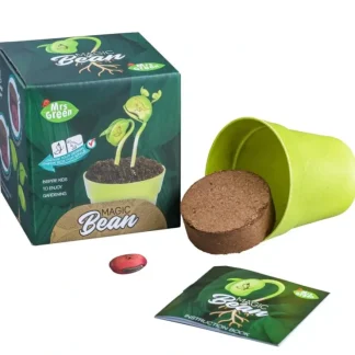 Mrs. Green Garden Kit - Magic Bean - Little Painter Art | Exploring the Endless Possibilities of Art^ Best